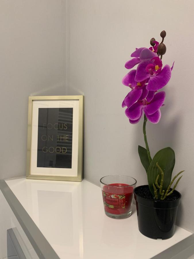 Apartament W Centrum Miasta 우치 외부 사진